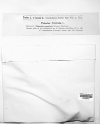 Image Associated With the Occurence